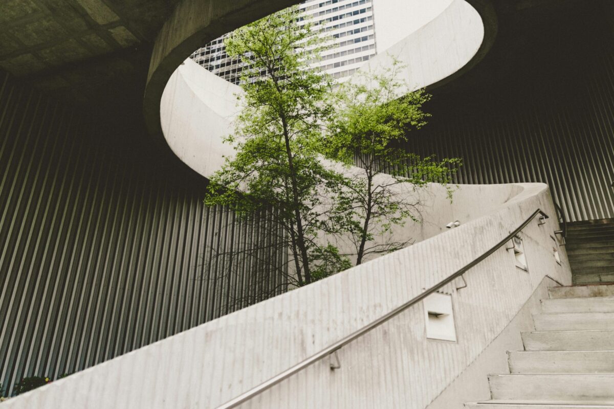 A tree grows inside the design of the building, exemplifying the ultimate sustainable construction materials